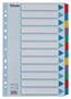 Regiszter, laminált karton, A4, 12 részes, ESSELTE "Mylar"